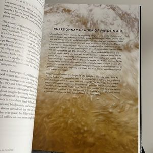 Champagne 🥂 peter liem book